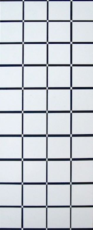 1_2016_A01_AcrylAluweiss_35.3x14cm_Pieter Meijer_180