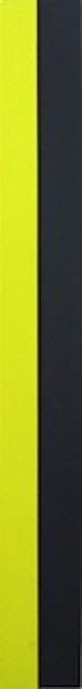 2009_untitled_22_AcrylHolz_92x10x1.8cm_180